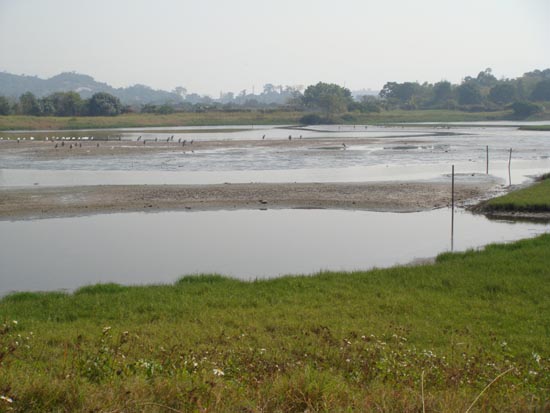 hong kong wetland park mudflat