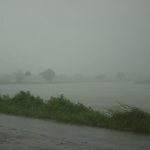 mai_po_rainstorm