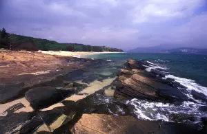 tungpingchau-eastcoast