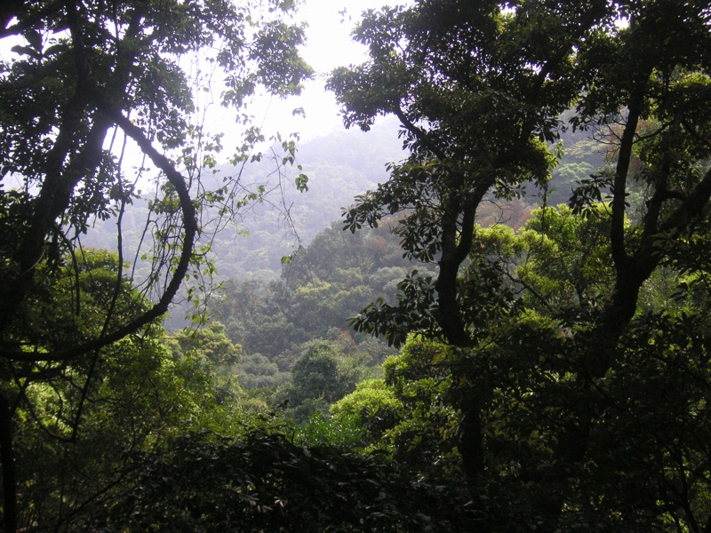 Hong Kong is Home to a Rich Biodiversity