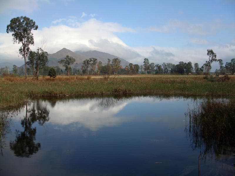 nam sang wai reflections