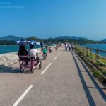 Cycling From Tai Po Market to Tai Mei Tuk on Rented Bikes