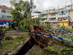 Hong Kong tropical cyclones