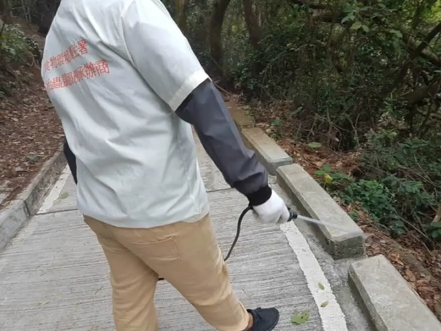 Pesticides versus Hong Kong mosquitoes killing too much other wildlife